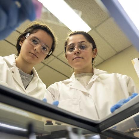 two researchers in the College of Science and Technology in a lab.