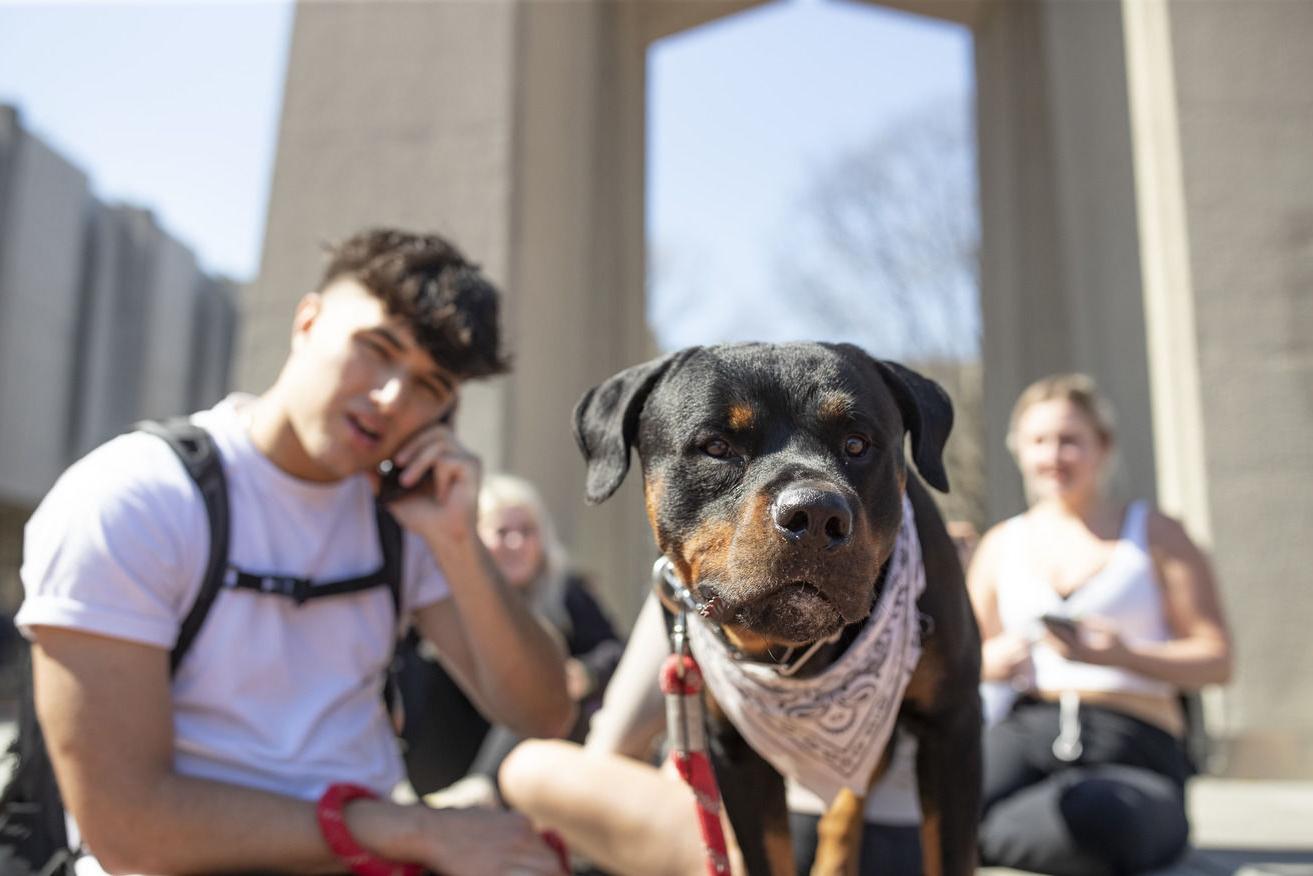An image of a dog and student sitting in front of the belltower.